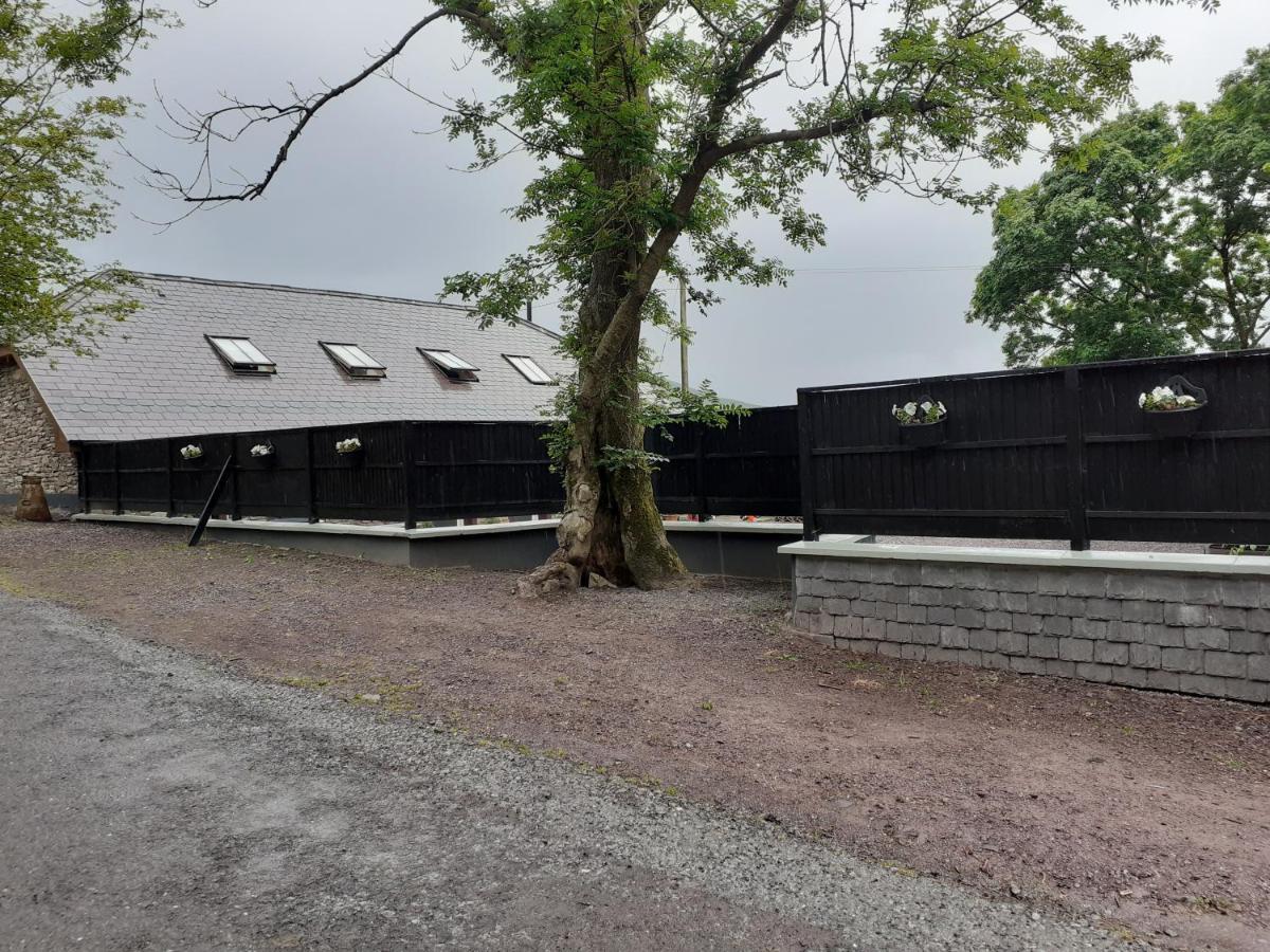 Shadow River Farm Annascaul Экстерьер фото
